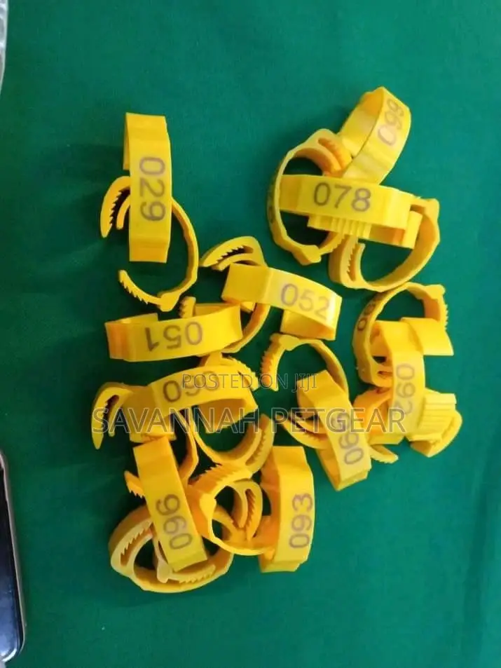 Numbered Chicken Duck Goose Parrots Identification Leg Bands