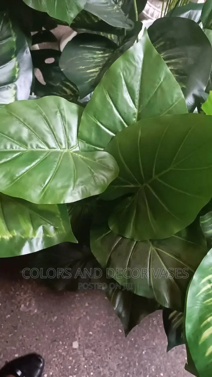 Artificial Plants
