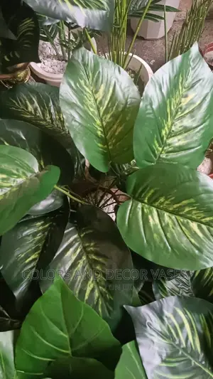Artificial Plants