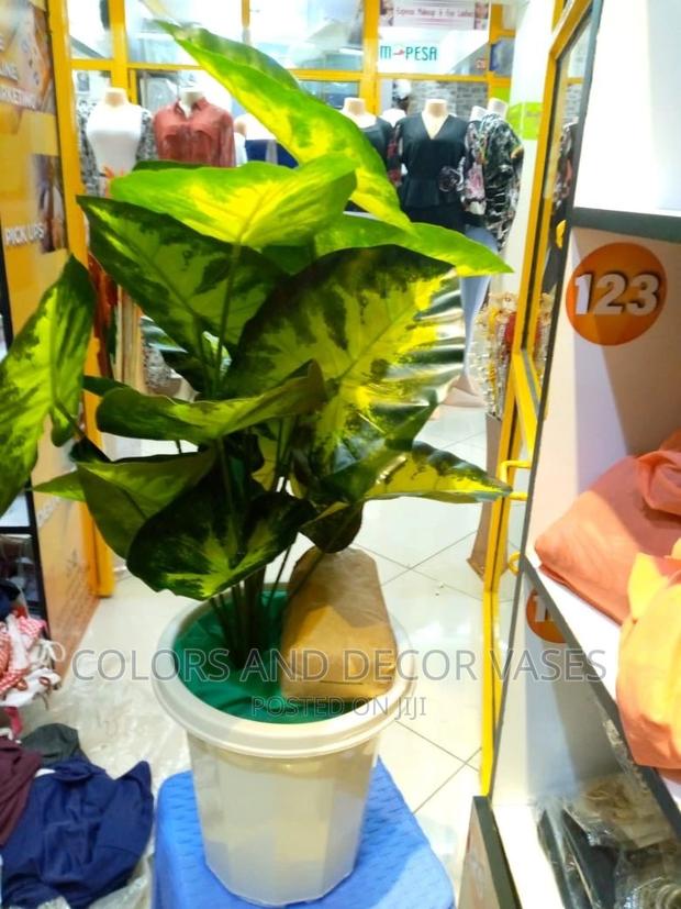 Artificial Plants - thumbnail 6