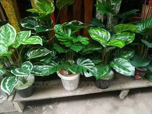 Artificial Plants