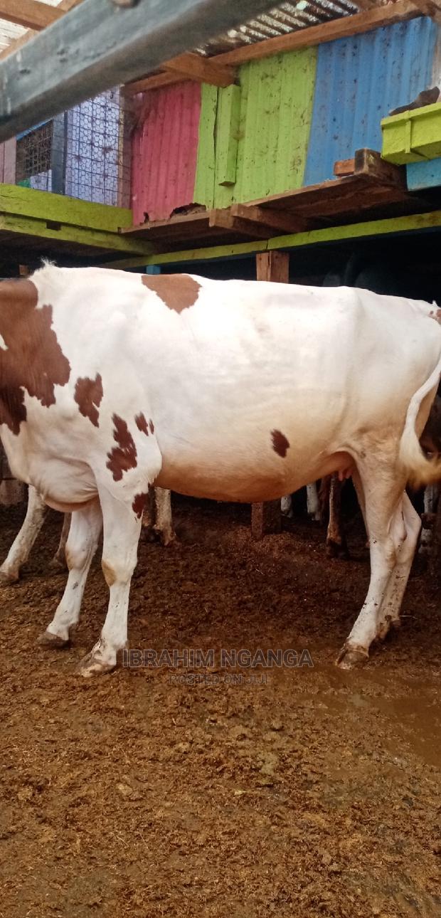 Ashyre for Sale - main view