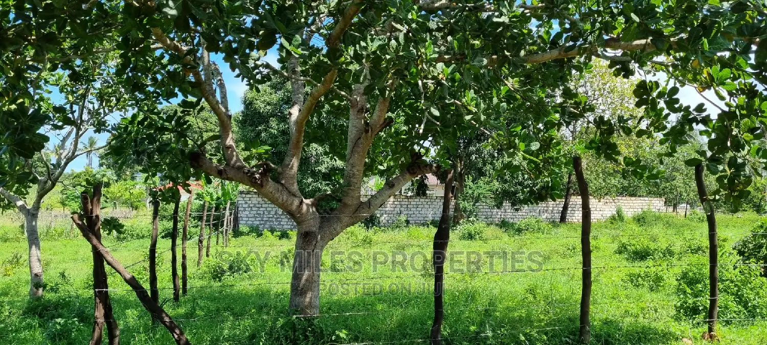 Prime Plots on Sale Mtwapa