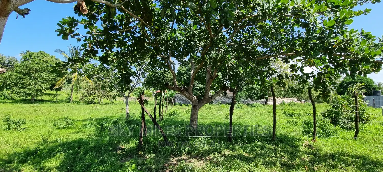 Prime Plots on Sale Mtwapa