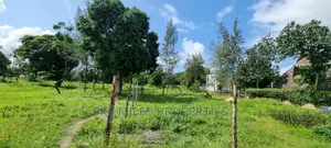 Aloo Drive,Mtwapa Beach Creekside Area,50/100 Plots on Sale.