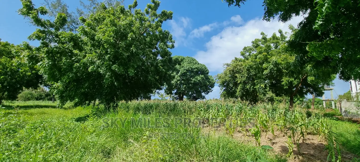 Aloo Drive,Mtwapa Beach Creekside Area,50/100 Plots on Sale.