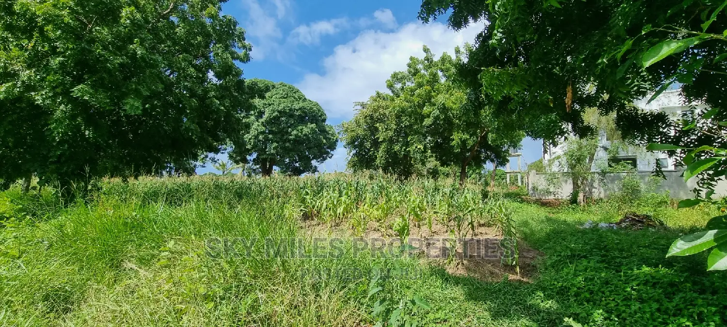Aloo Drive,Mtwapa Beach Creekside Area,50/100 Plots on Sale.