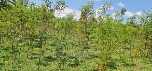 5 Acres Land for Sale in Mlango Kapseret in Eldoret - thumbnail 3