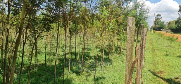5 Acres Land for Sale in Mlango Kapseret in Eldoret - thumbnail 6