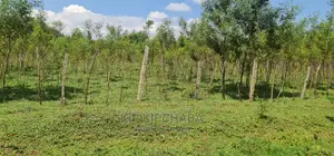 5 Acres Land for Sale in Mlango Kapseret in Eldoret