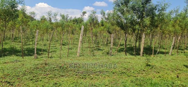 5 Acres Land for Sale in Mlango Kapseret in Eldoret - thumbnail 4