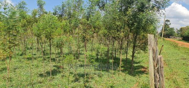 5 Acres Land for Sale in Mlango Kapseret in Eldoret - thumbnail 12