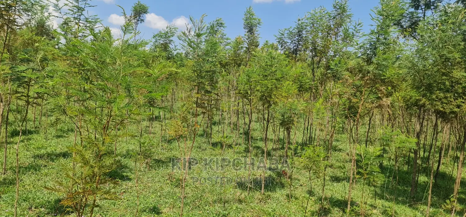 5 Acres Land for Sale in Mlango Kapseret in Eldoret