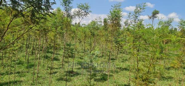 5 Acres Land for Sale in Mlango Kapseret in Eldoret - thumbnail 15