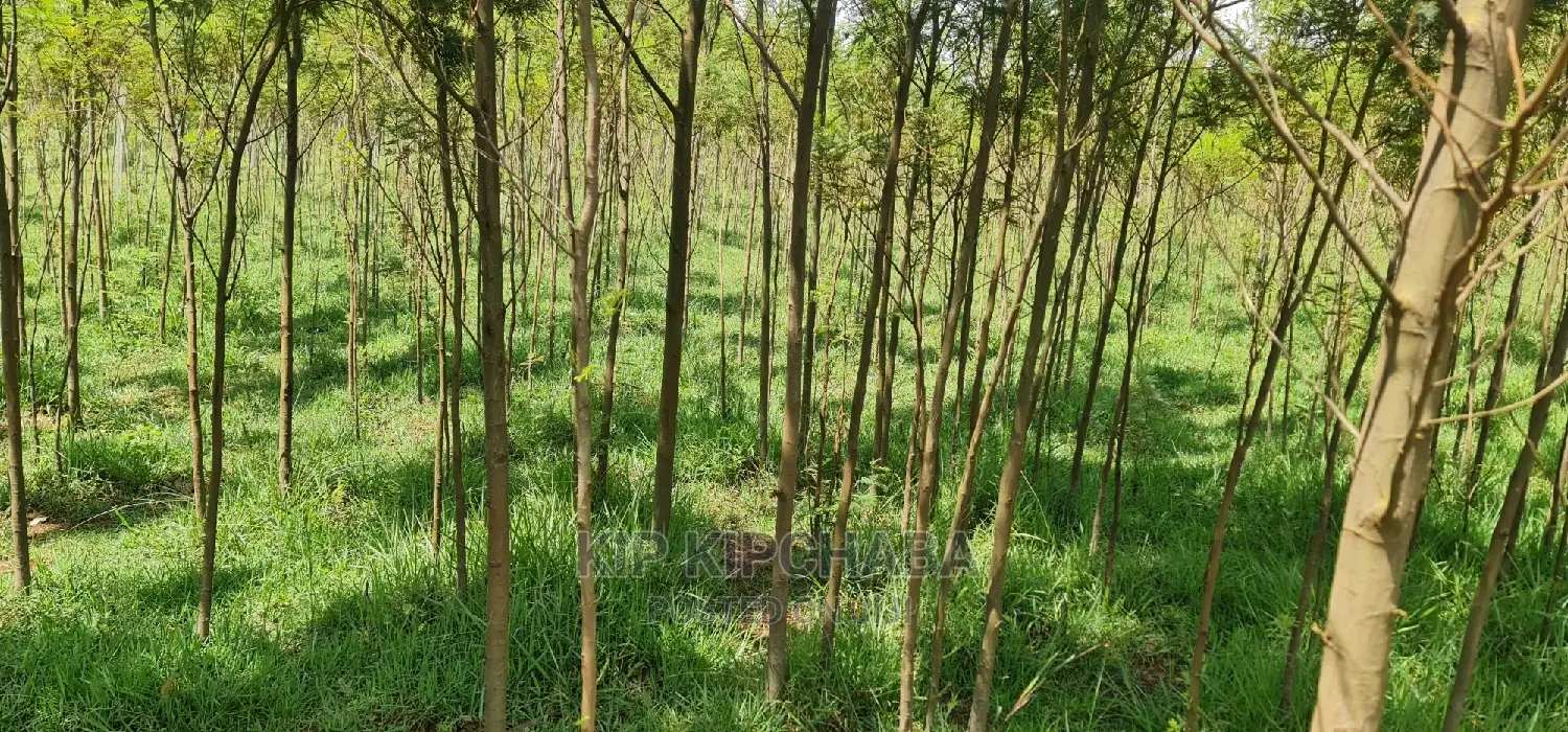 5 Acres Land for Sale in Mlango Kapseret in Eldoret