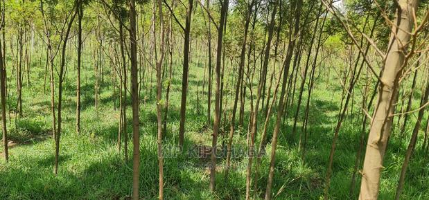 5 Acres Land for Sale in Mlango Kapseret in Eldoret - thumbnail 8