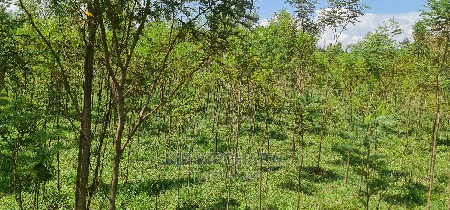 5 Acres Land for Sale in Mlango Kapseret in Eldoret