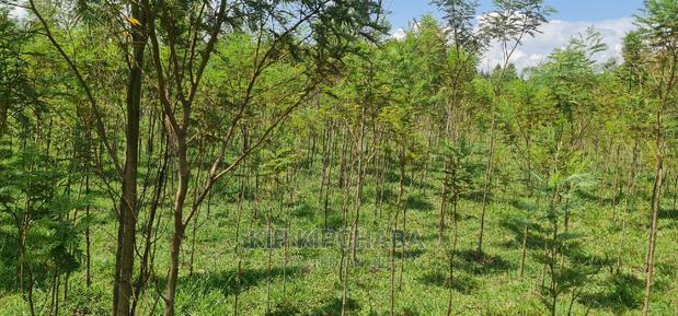 5 Acres Land for Sale in Mlango Kapseret in Eldoret - thumbnail 16