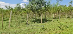 5 Acres Land for Sale in Mlango Kapseret in Eldoret