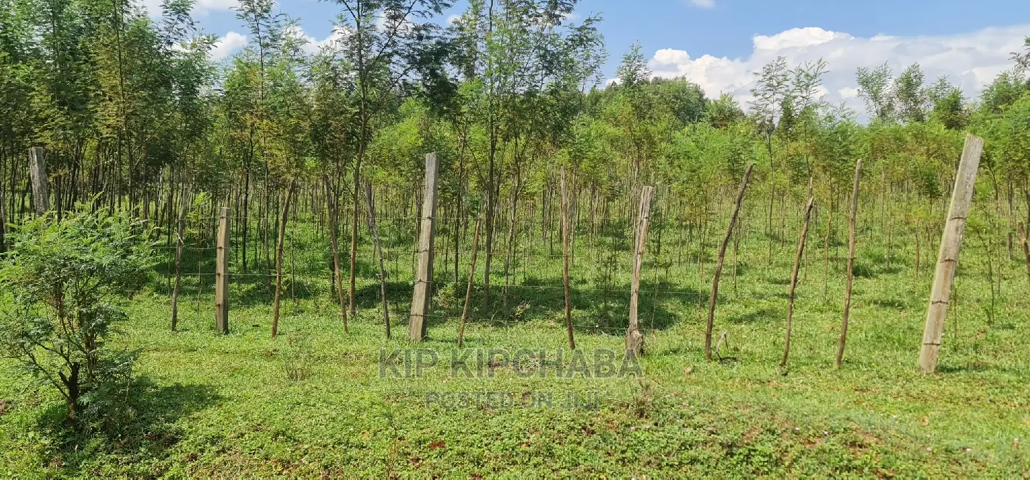 5 Acres Land for Sale in Mlango Kapseret in Eldoret