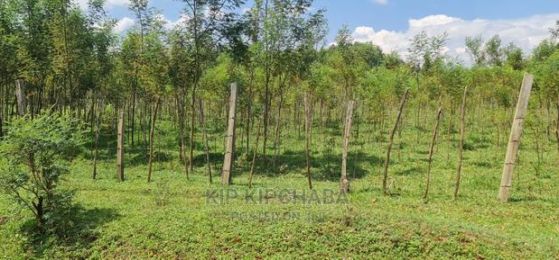 5 Acres Land for Sale in Mlango Kapseret in Eldoret - thumbnail 7