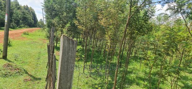 5 Acres Land for Sale in Mlango Kapseret in Eldoret - thumbnail 11