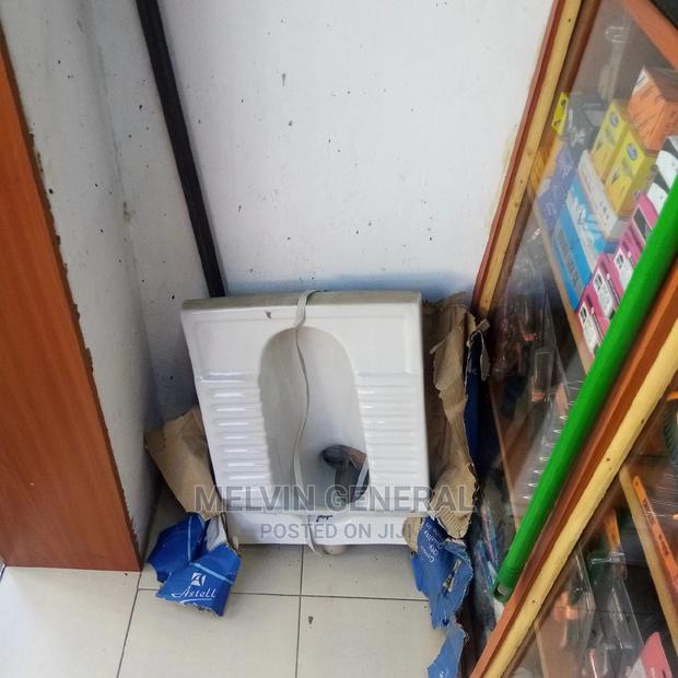 Step Up Toilet - main view