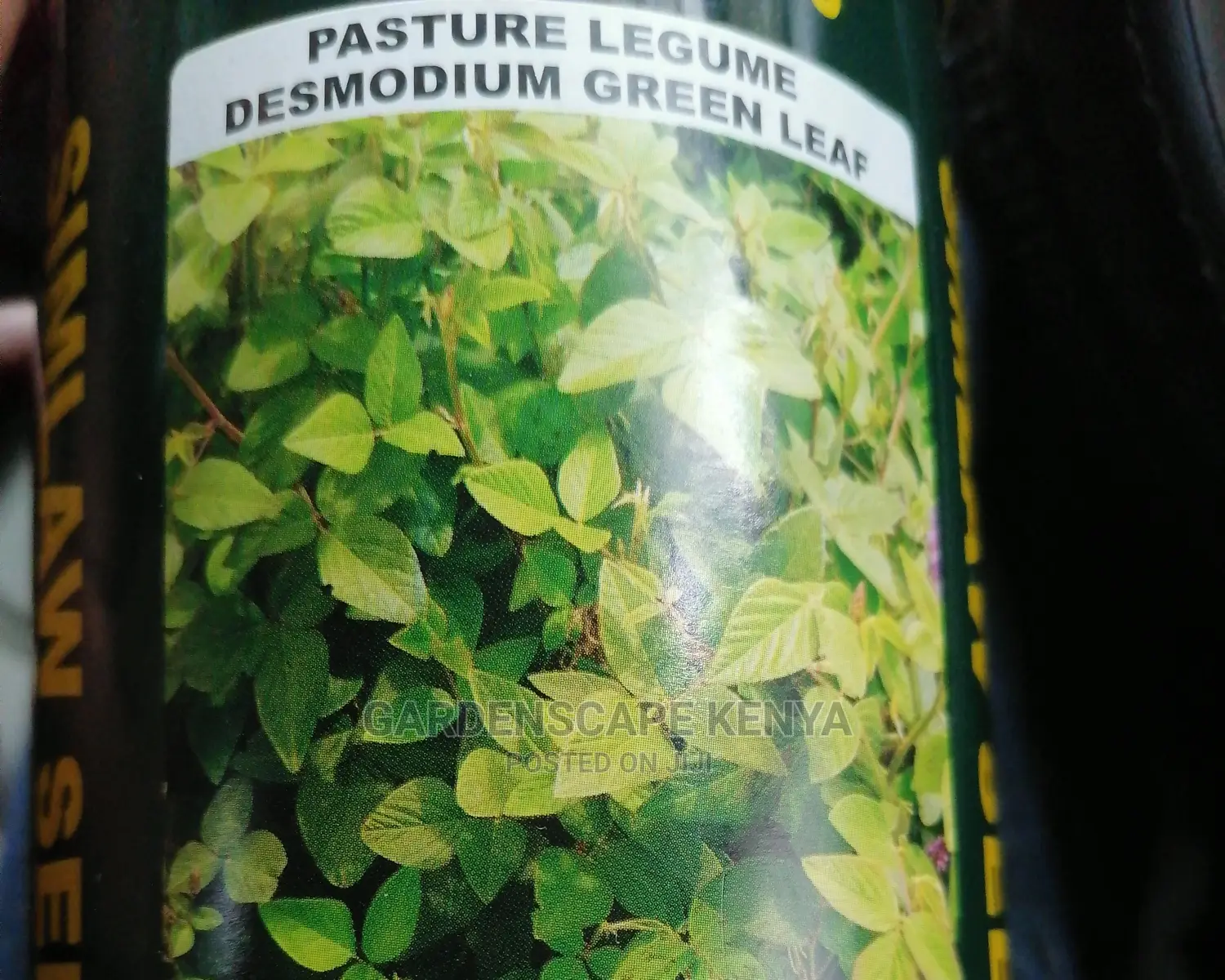Desmodium Green Leaf-Pasture Seeds.