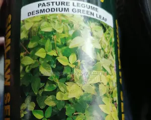 Desmodium Green Leaf-Pasture Seeds.