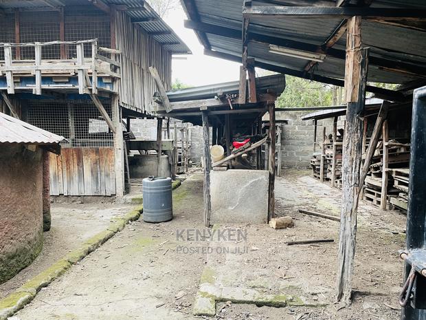 40*100 Plot at Mwariki Estate - thumbnail 8