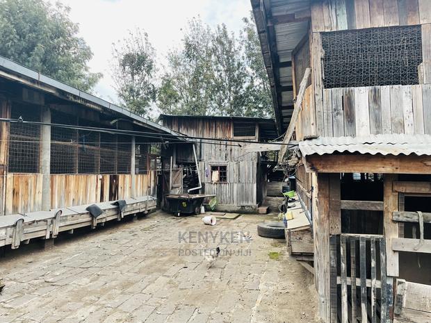 40*100 Plot at Mwariki Estate - thumbnail 7