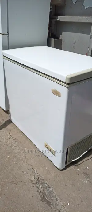 250L Deep Freezer