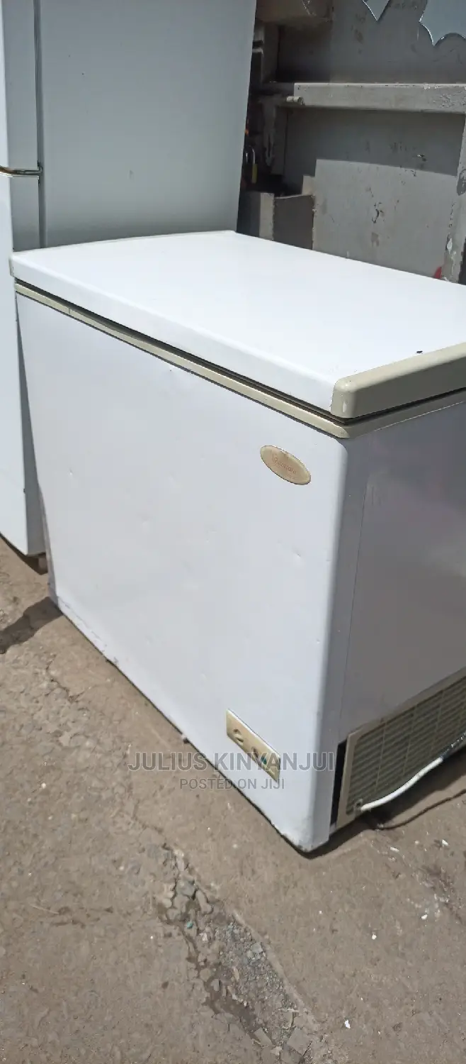 250L Deep Freezer