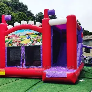 We Out Themed Bouncing Castles,Bublehouse Mascots Clown Face Painting
