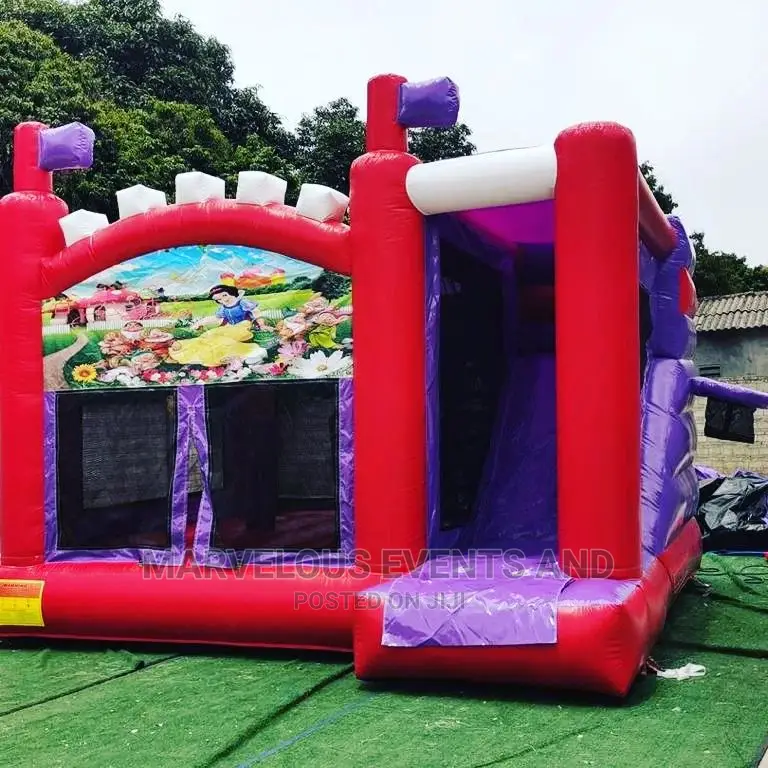 We Out Themed Bouncing Castles,Bublehouse Mascots Clown Face Painting