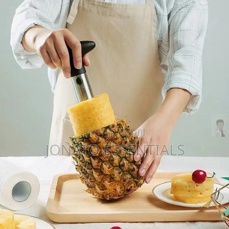 Stainless Steel Pineapple Peeler, Pineapple Slicer