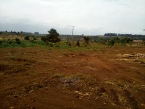1/4-Acre Plots for Sale in Thika - B.A.T Area - thumbnail 2