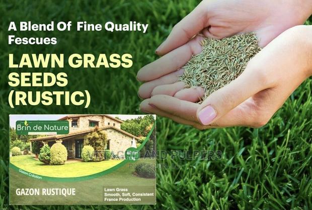 Brin De Nature Lawn Grass Gazon Rustique - thumbnail 2