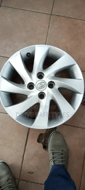 15 Inch NZE Rims (Japan)