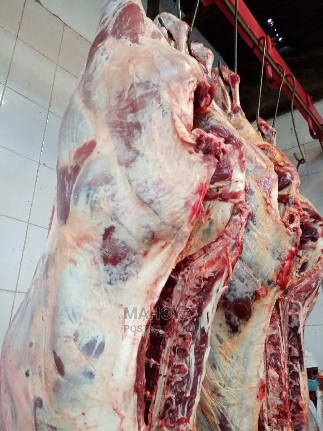 Beef Mutton Supplies