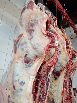 Beef Mutton Supplies