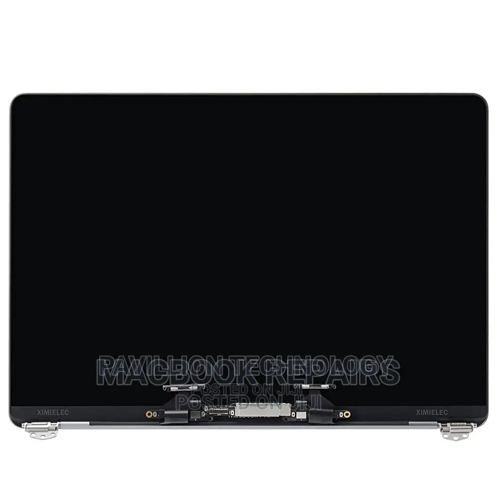 Macbook PRO A1989 Screen