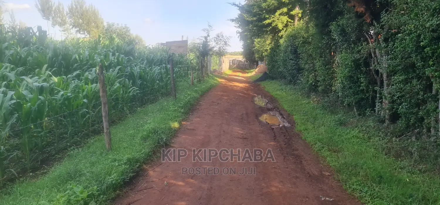 Quick Sale 1⁄4 Plot For Sale In Kimumu Eldoret