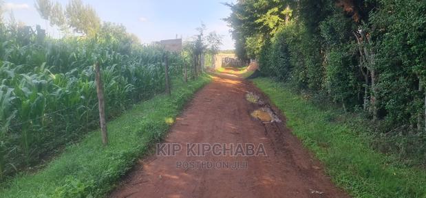 Quick Sale 1⁄4 Plot For Sale In Kimumu Eldoret - thumbnail 4