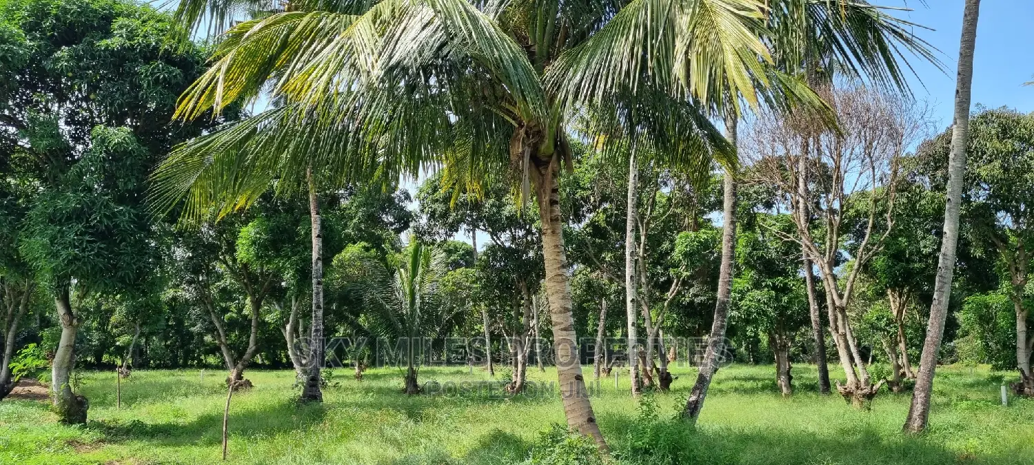 A Parcel of 4 Acre Land Nice for Subdivision on Sale Mtwapa