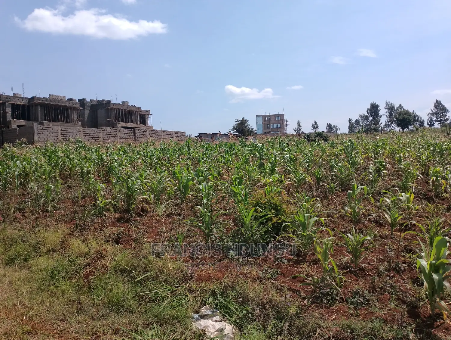 40x80 Plot in Kiora Estate Gated Community Kirigiti Migaa Rd