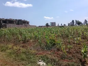 40x80 Plot in Kiora Estate Gated Community Kirigiti Migaa Rd
