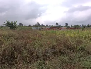 40x80 Plots Matrofi Estate Near Migaa Kiambu.