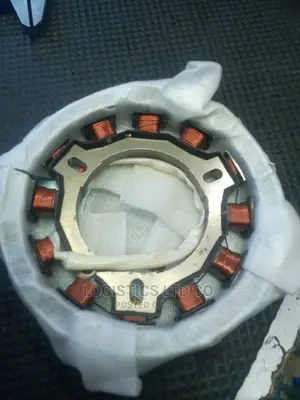 Magneto Ignition for Generator