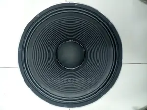 JBN 15inch Naked Speaker